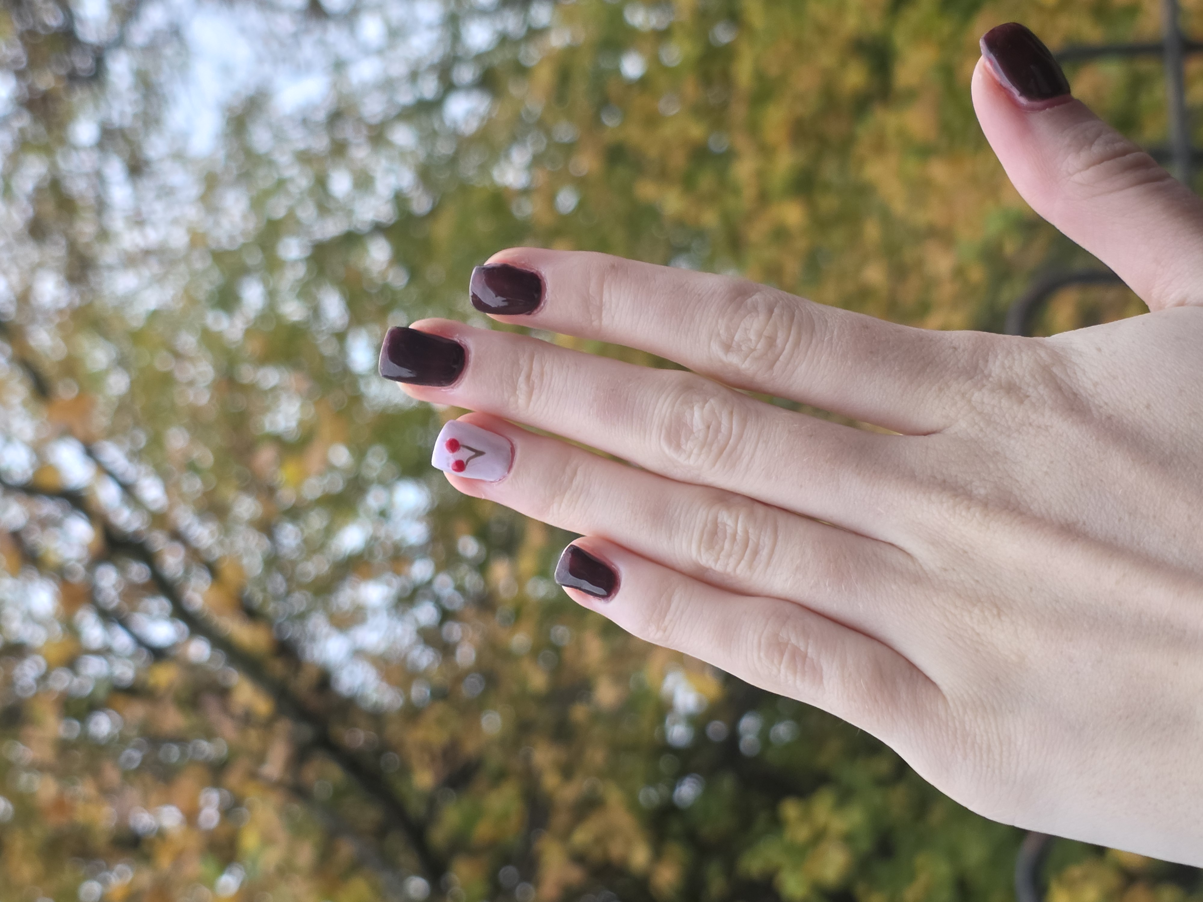 Nail set - brown nails with cherry