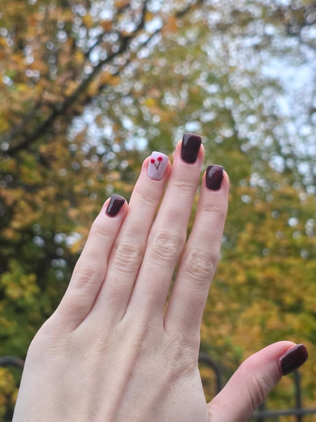 Nail set - brown nails with cherry